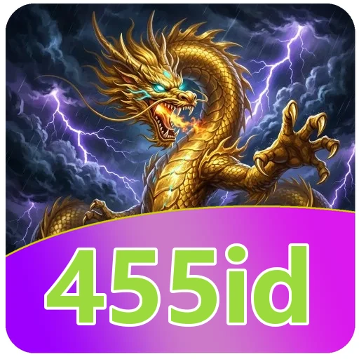 Ilustrasi pencocokan versi dan ukuran 455id